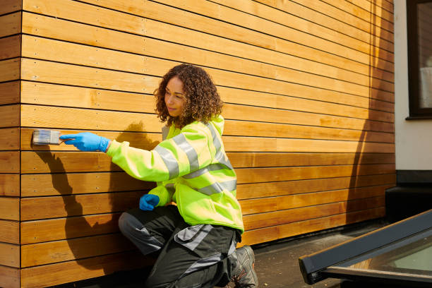 Best Siding Painting and Refinishing  in Morrisville, VT